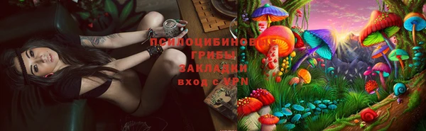 молекула духа Алзамай