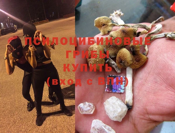 spice Абинск
